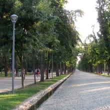 Parcul Central